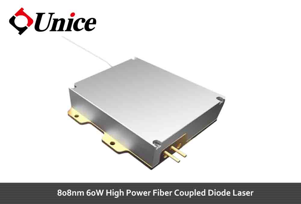 K808DN1RN-60.00W